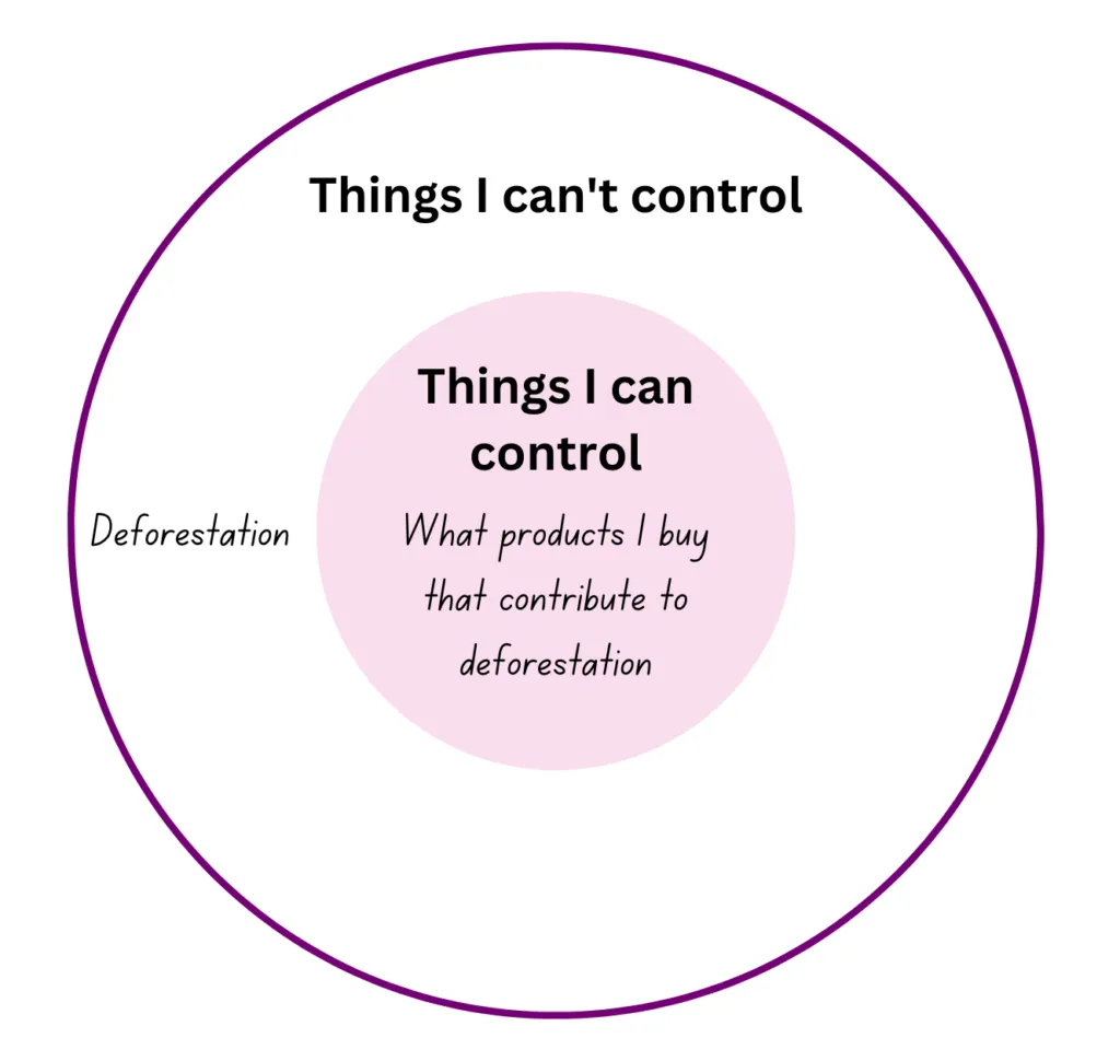 an example of creating a circle of control for eco anxiety. In the "things I can't control" circle there is deforestation, in the "things I can control" circle is buying products that contribute to deforestation.